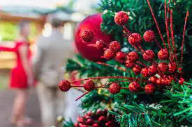 Fresh Christmas trees bloom in Dubai market